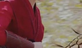 青枫最新爆料,娱乐圈最新爆料大起底